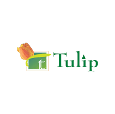 Tulip Infratech